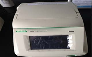 PCR仪（三台）