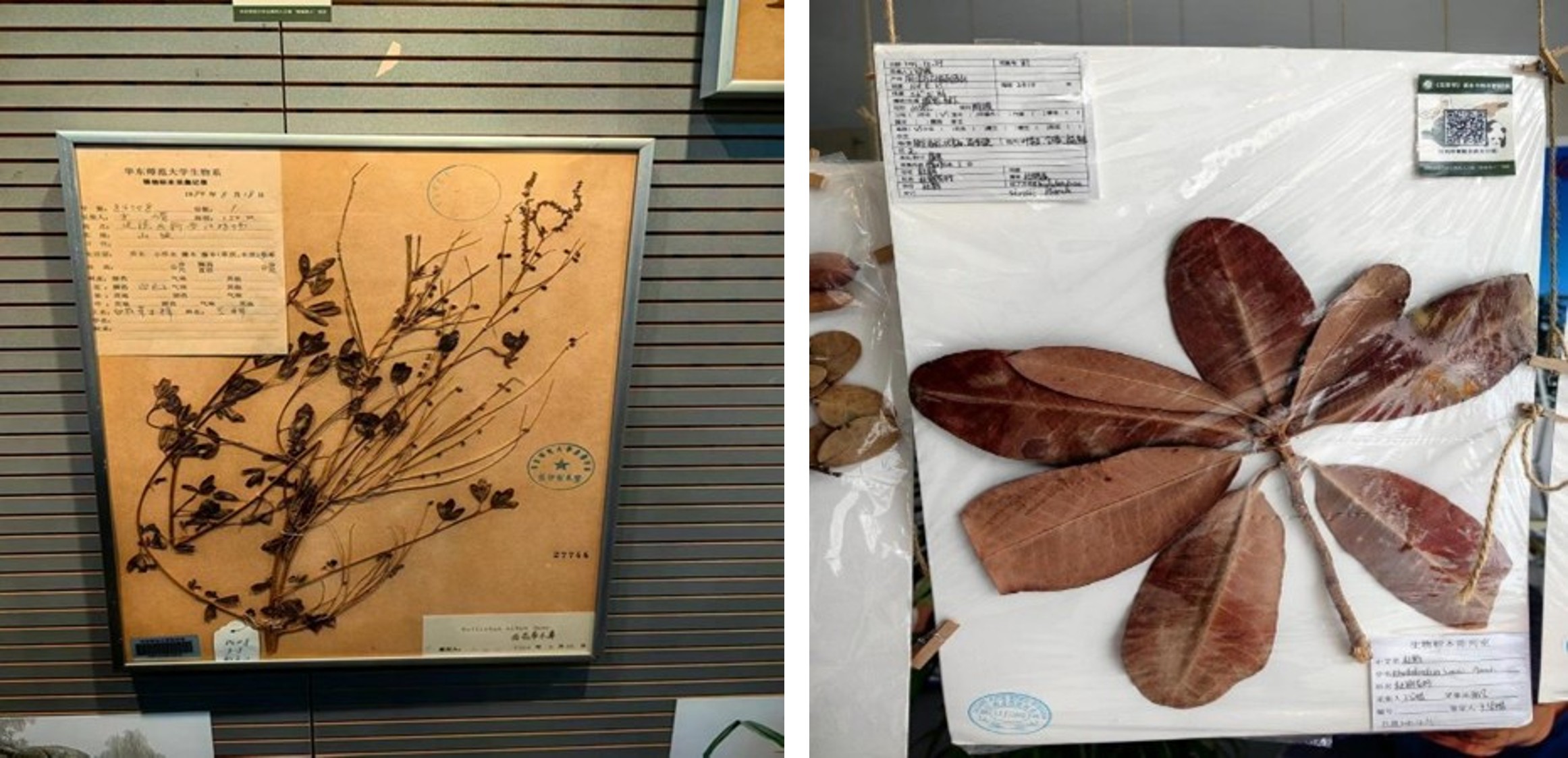 图片7.jpg 图片7.jpg