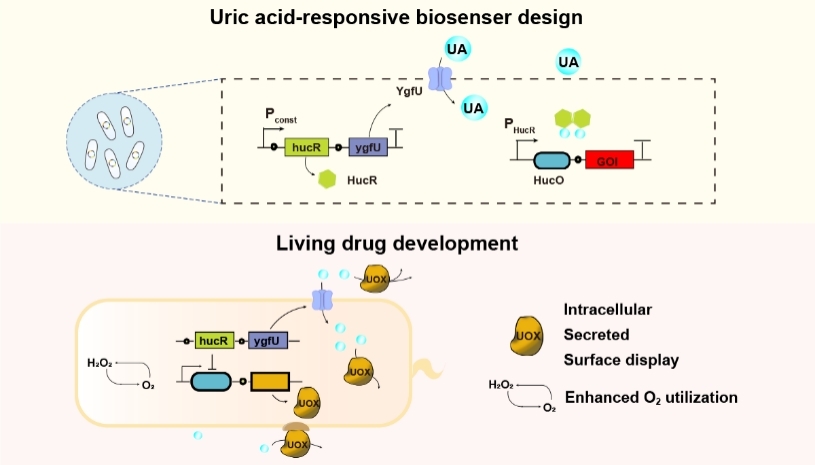 图片3.jpg 图片3.jpg