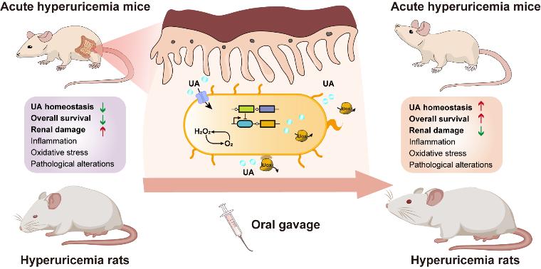 图片4.jpg 图片4.jpg