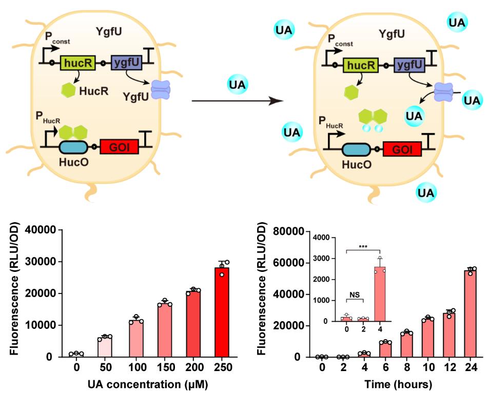 图片2.jpg 图片2.jpg