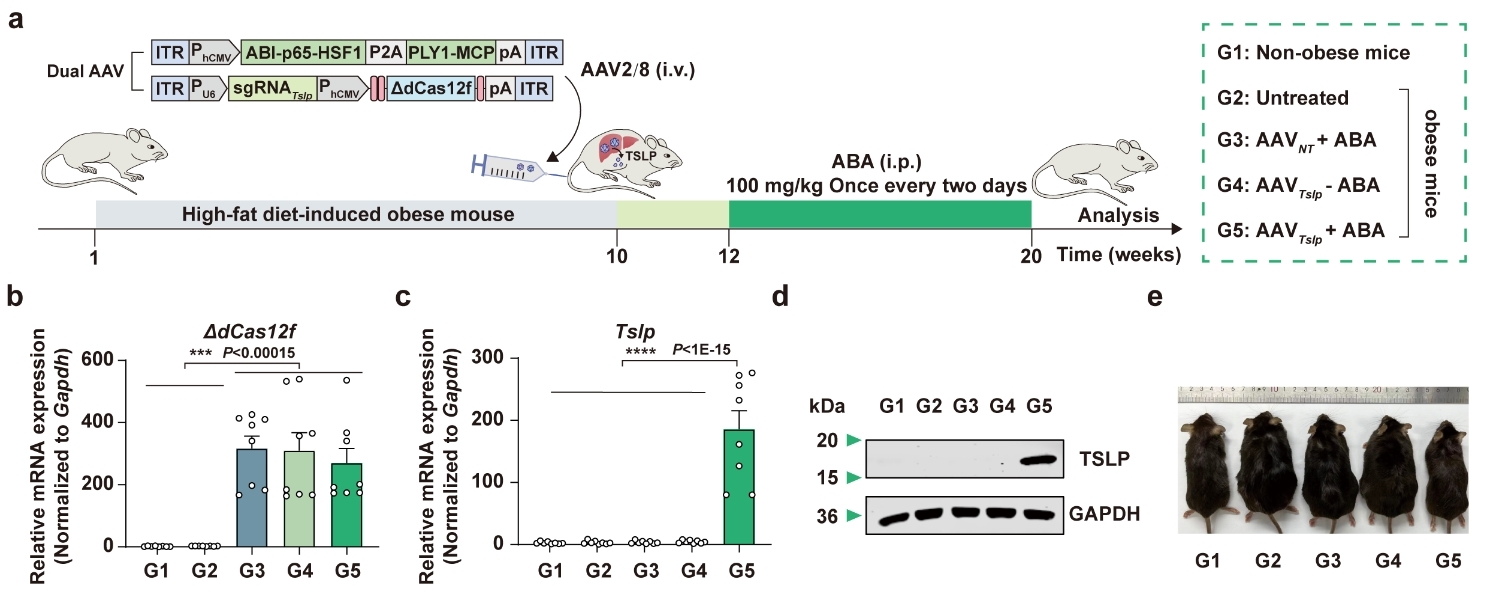 图片4.jpg 图片4.jpg