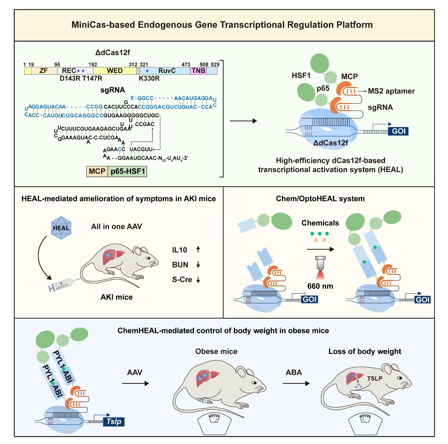图片2.jpg 图片2.jpg