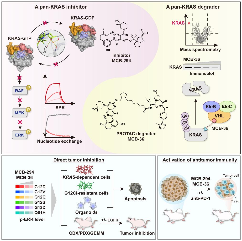 图片3.jpg 图片3.jpg