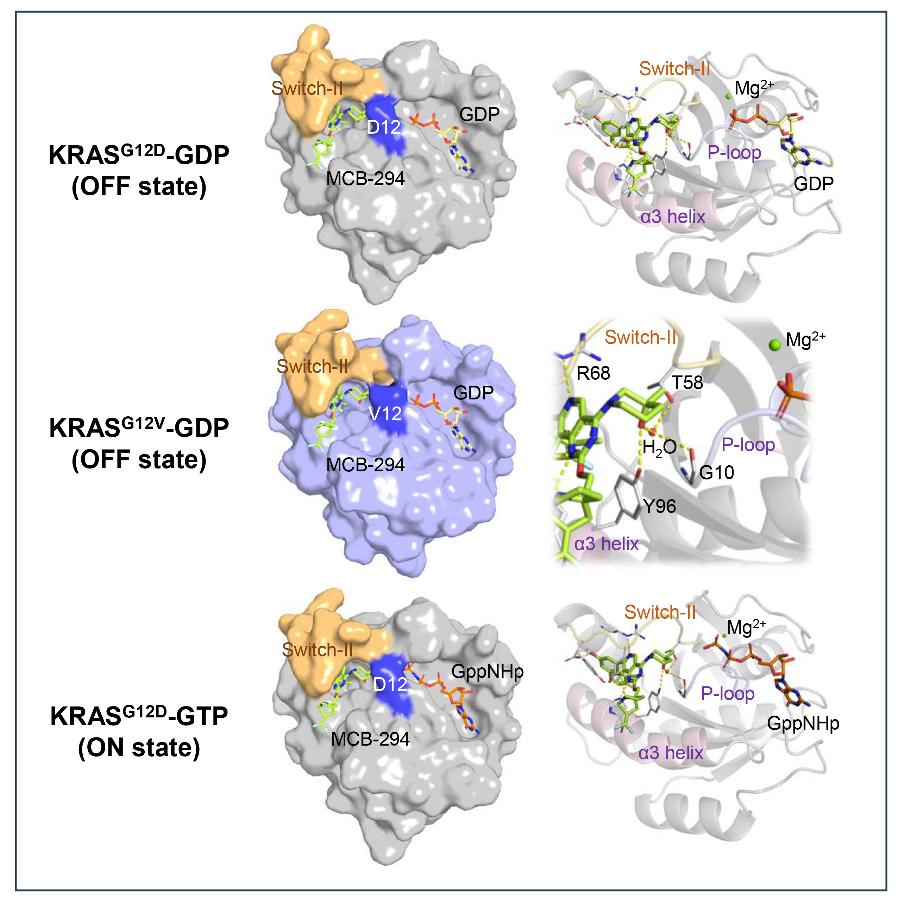 图片2.jpg 图片2.jpg