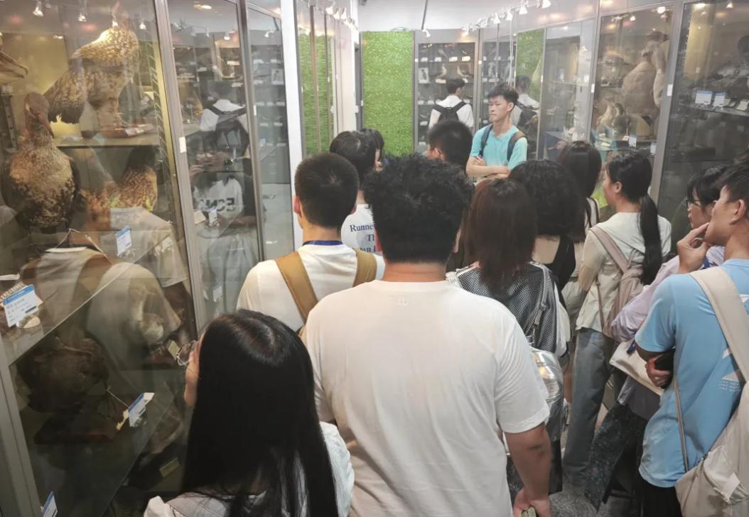 图片13.jpg 图片13.jpg