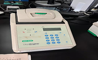 梯度PCR