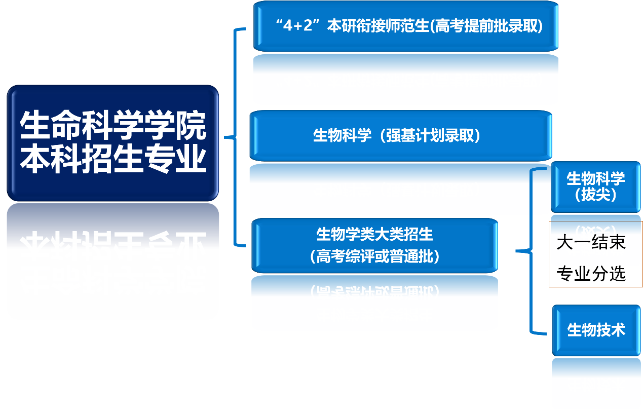 本科图片1.png 本科图片1.png